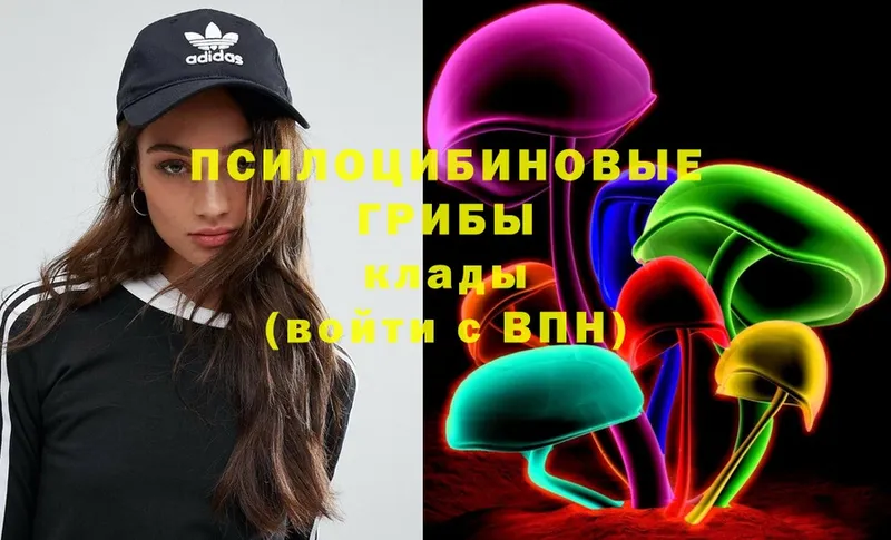 купить  цена  Палласовка  Галлюциногенные грибы Magic Shrooms 